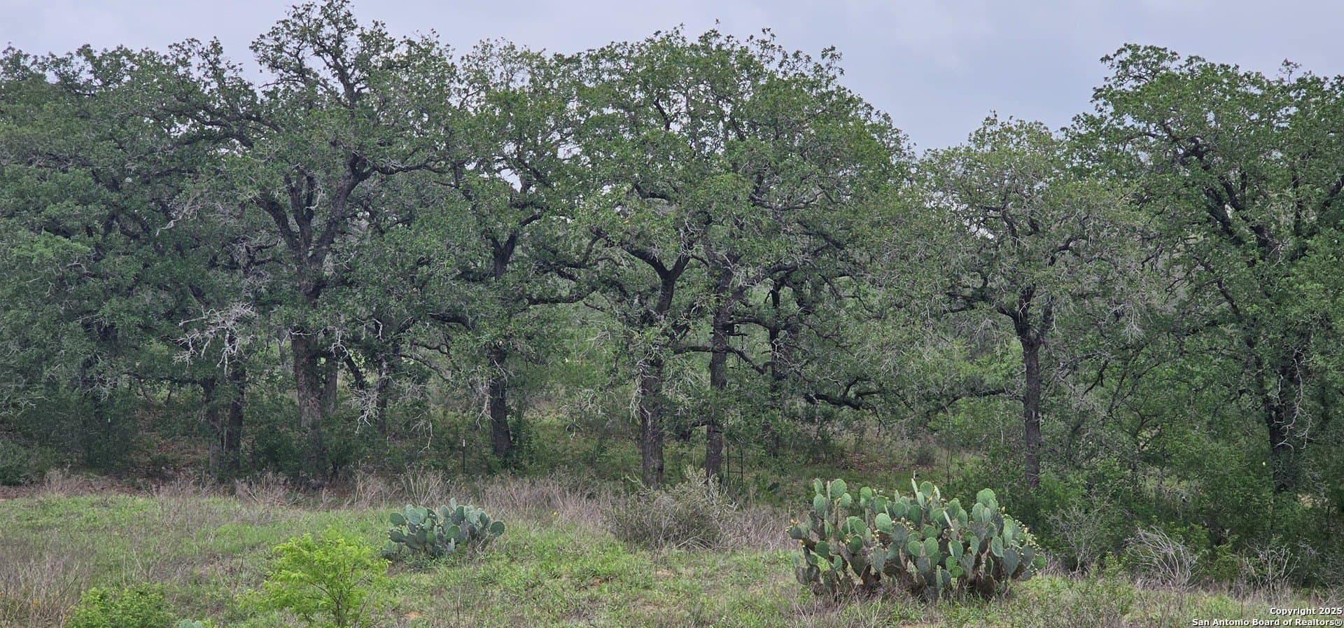 13.01 acres in Atascosa County - photo 9