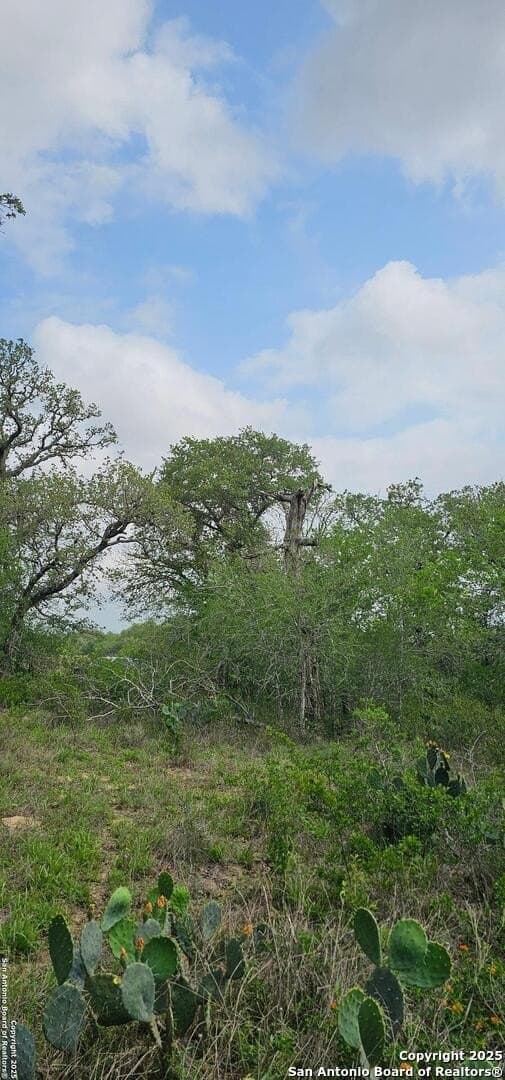 13.01 acres in Atascosa County - photo 22