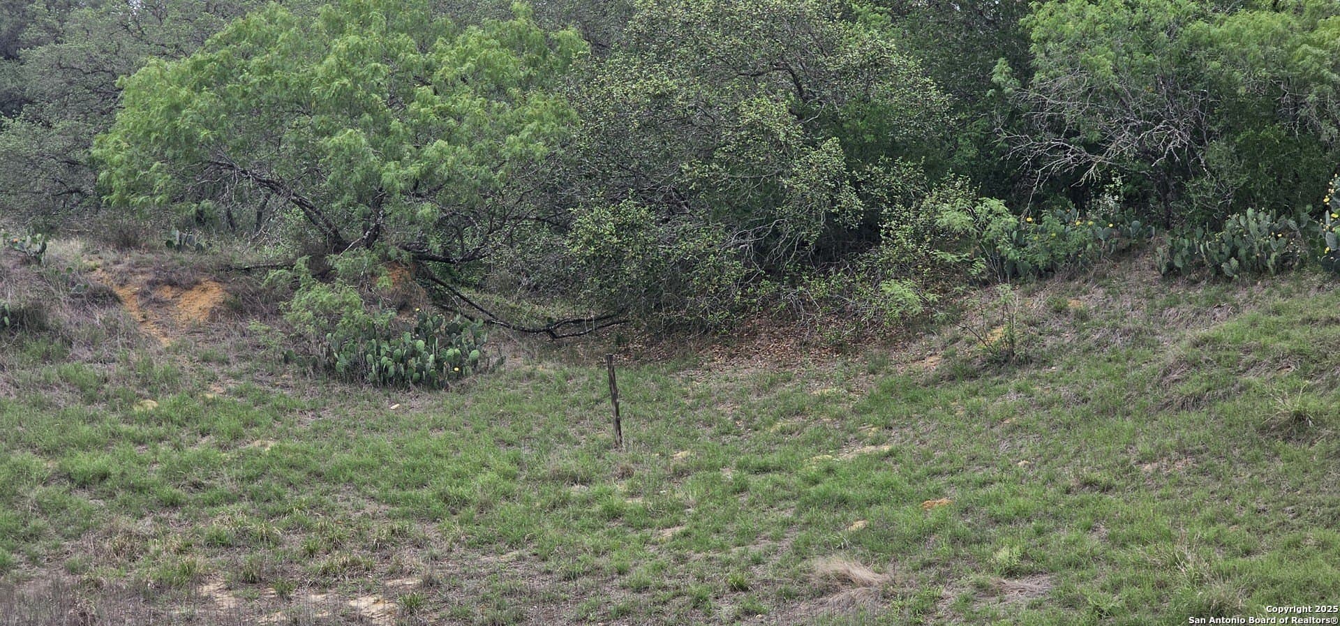 13.01 acres in Atascosa County - photo 36
