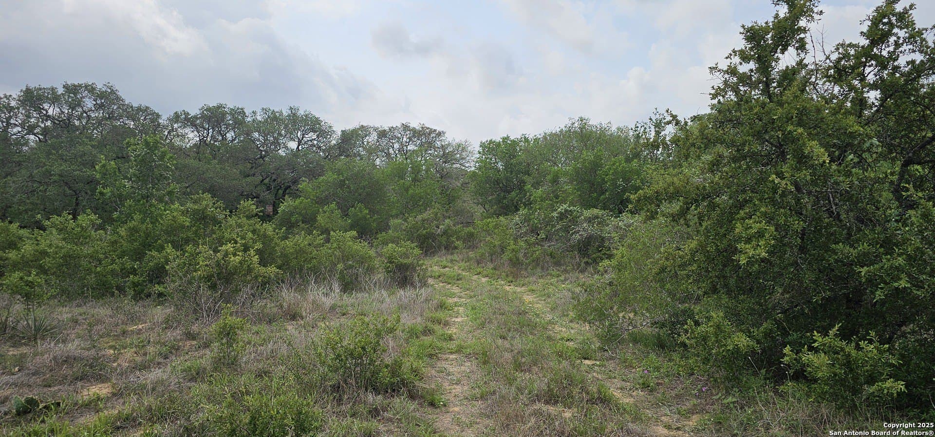 13.01 acres in Atascosa County - photo 3