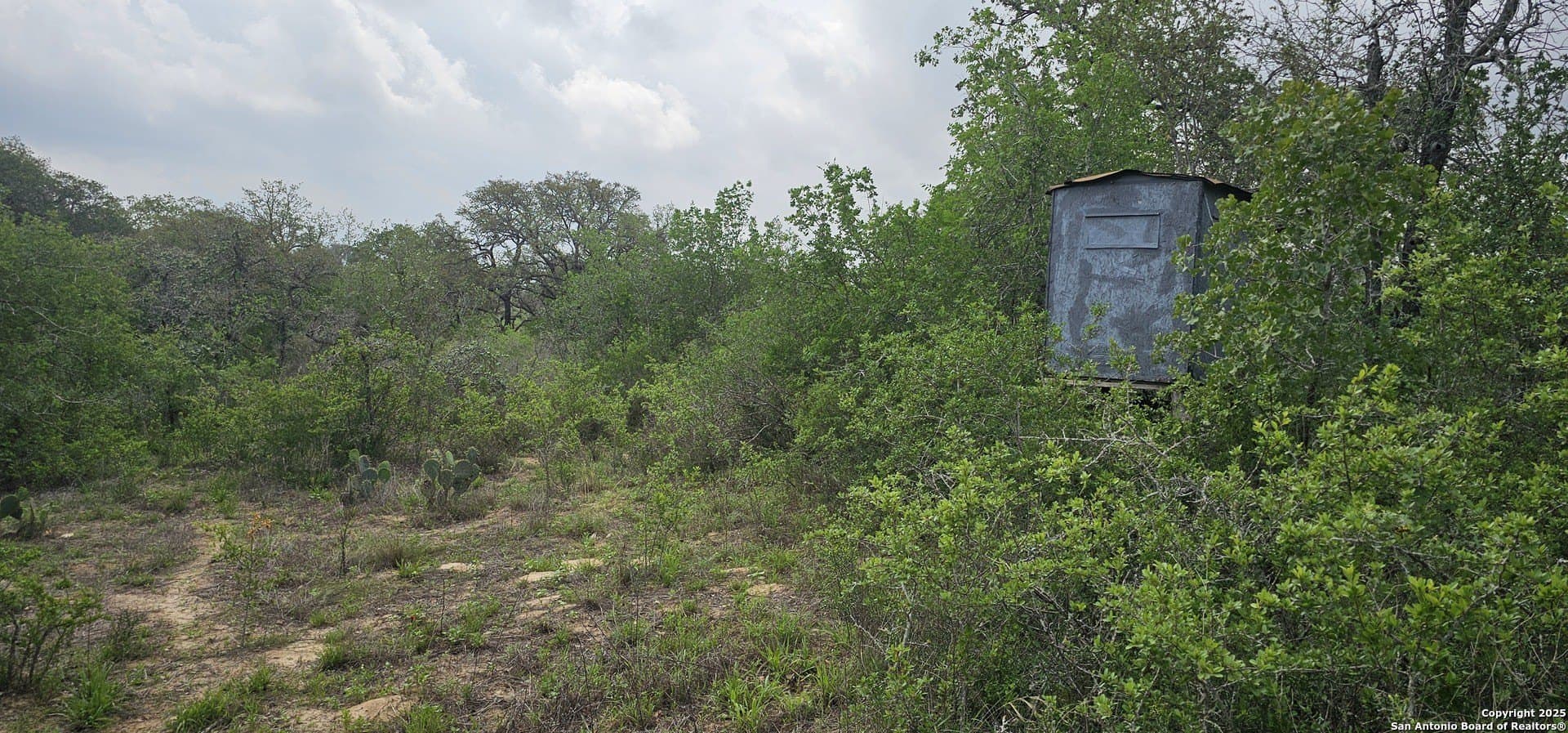 13.01 acres in Atascosa County - photo 32