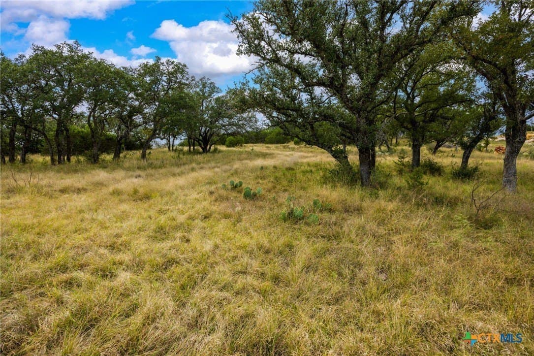 5.05 acres in San Saba County - photo 6
