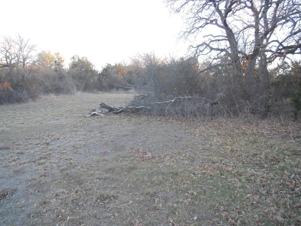 1.5 acres in Eastland County - photo 9