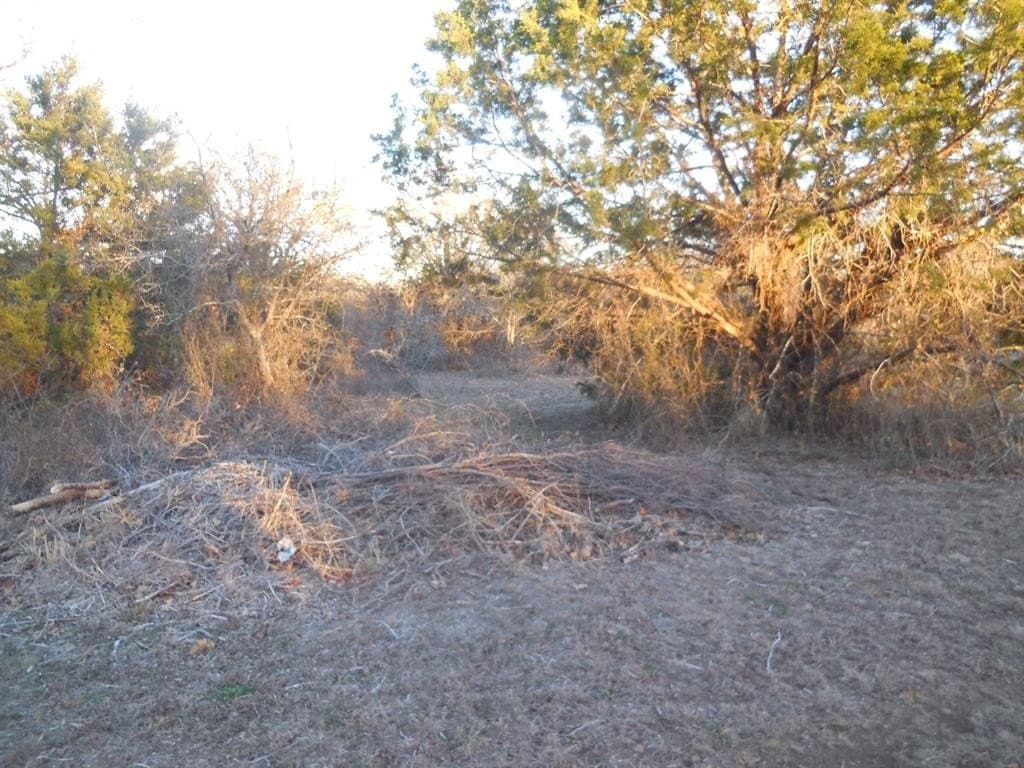 1.5 acres in Eastland County - photo 3