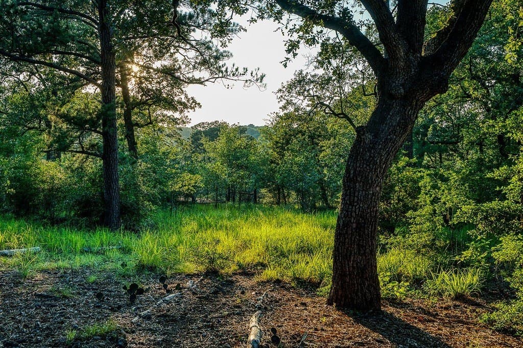 14.84 acres in Fayette County - photo 21