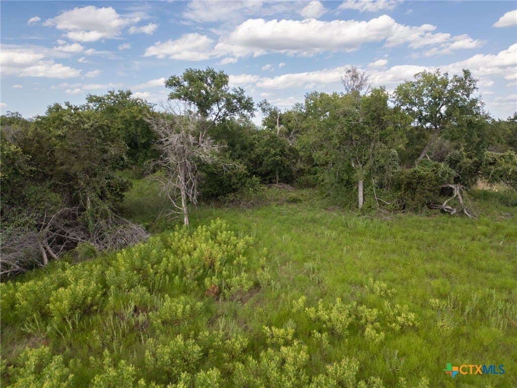 123.1 acres in Coryell County - photo 5