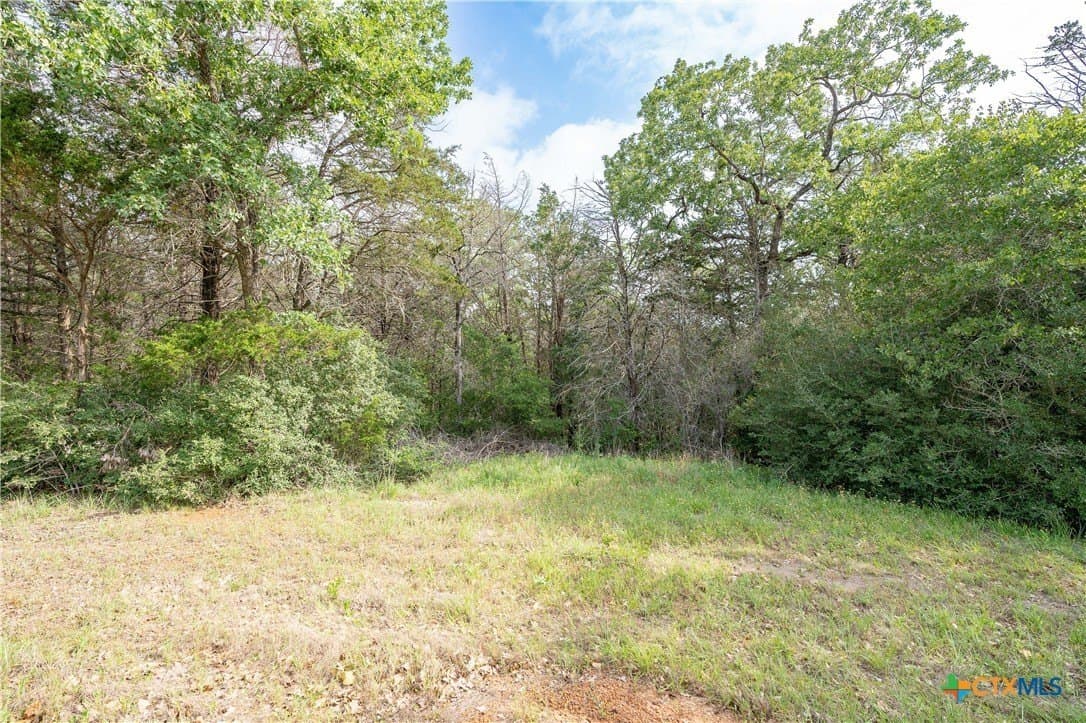 65 acres in Caldwell County - photo 15