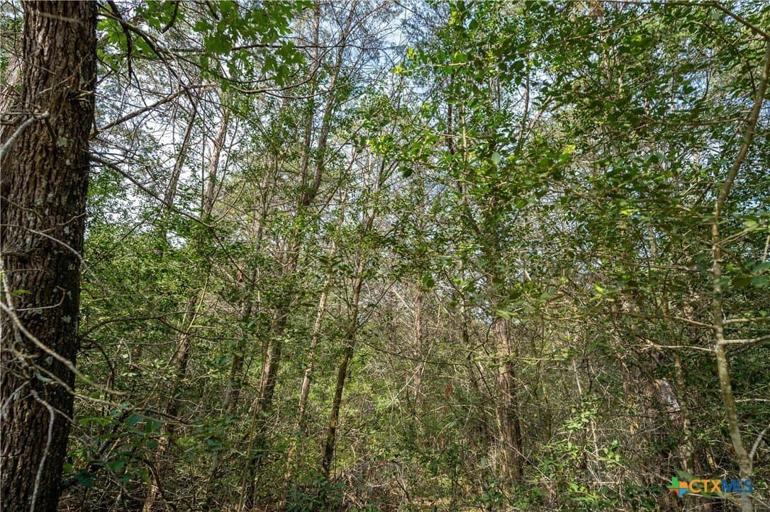 65 acres in Caldwell County - photo 9
