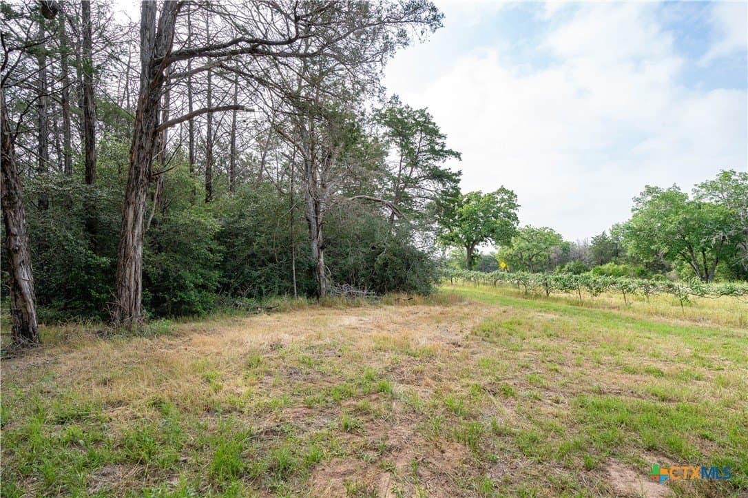 65 acres in Caldwell County - photo 17