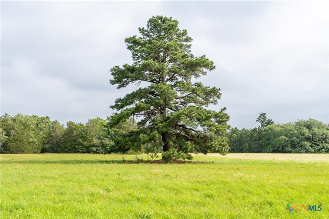 65 acres in Caldwell County - photo 5