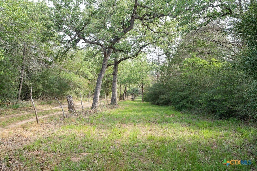 65 acres in Caldwell County - photo 7