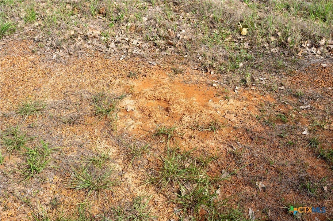 65 acres in Caldwell County - photo 16