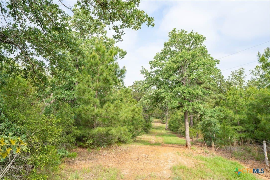 65 acres in Caldwell County - photo 19