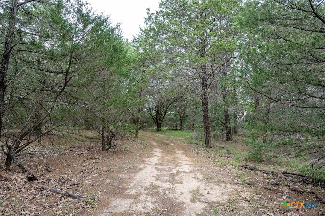 65 acres in Caldwell County - photo 26