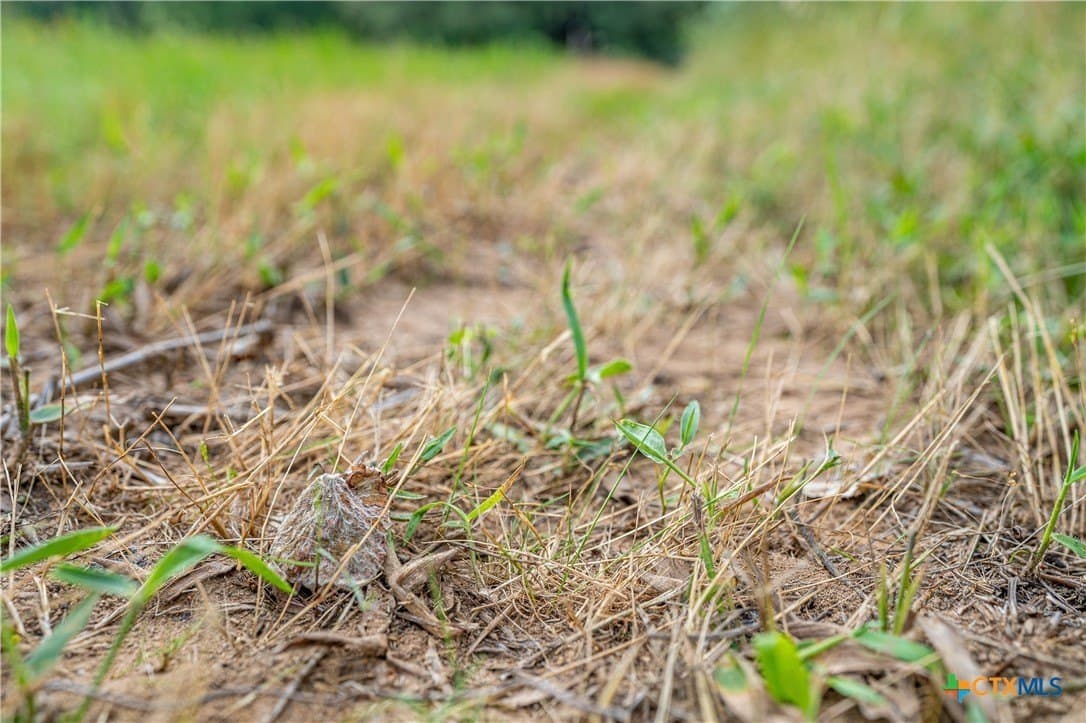 65 acres in Caldwell County - photo 13