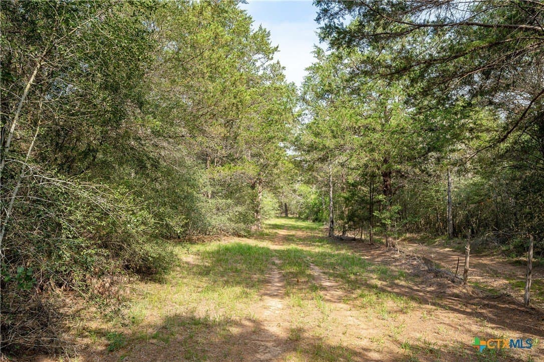 65 acres in Caldwell County - photo 18