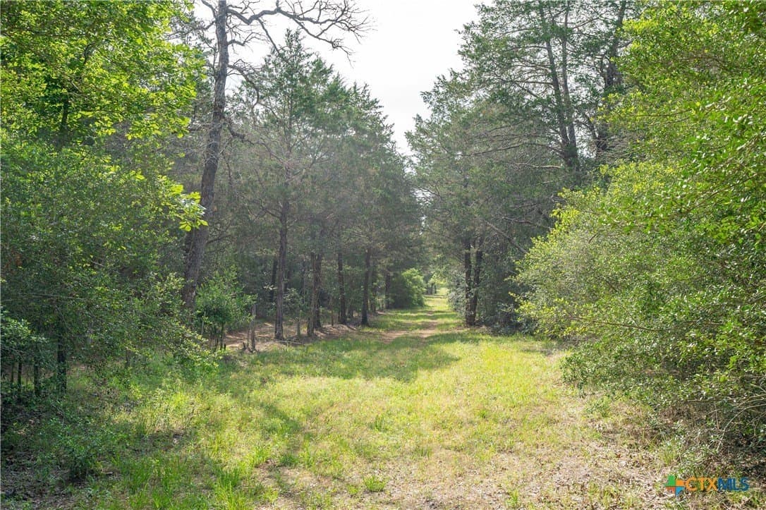 65 acres in Caldwell County - photo 3