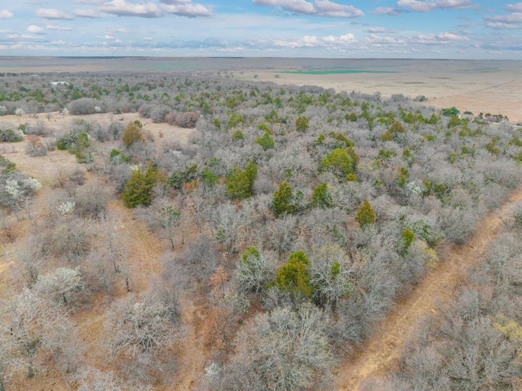 36 acres in Jack County - photo 14