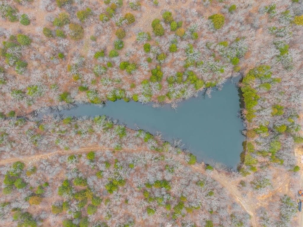 36 acres in Jack County - photo 12