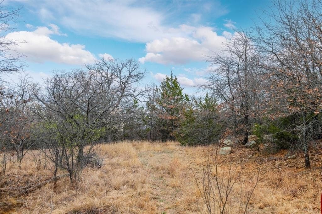 36 acres in Jack County - photo 3