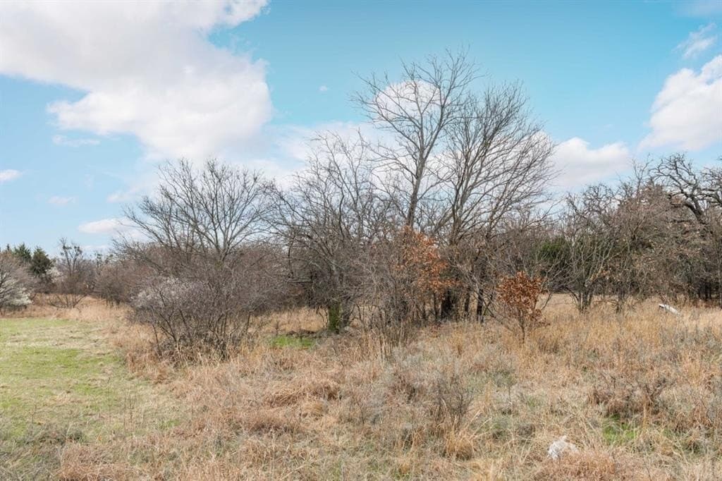 36 acres in Jack County - photo 21