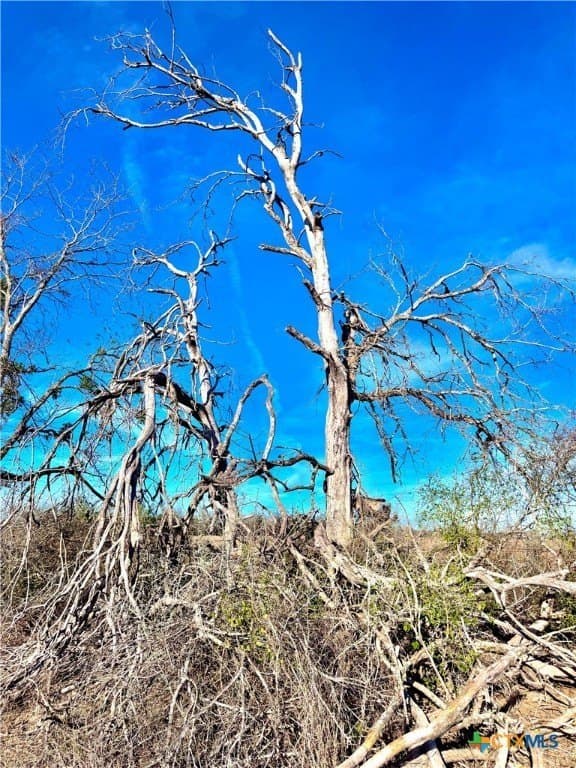 11.48 acres in Guadalupe County - photo 9