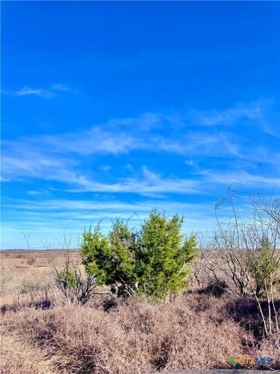 11.48 acres in Guadalupe County - photo 4