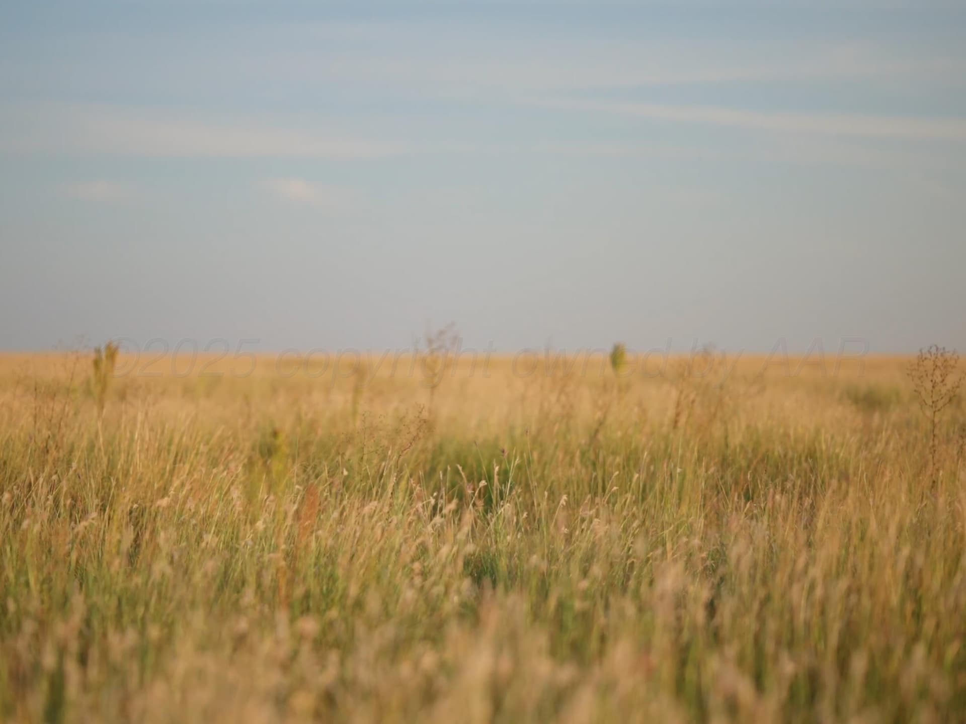 10 acres in Randall County - photo 3