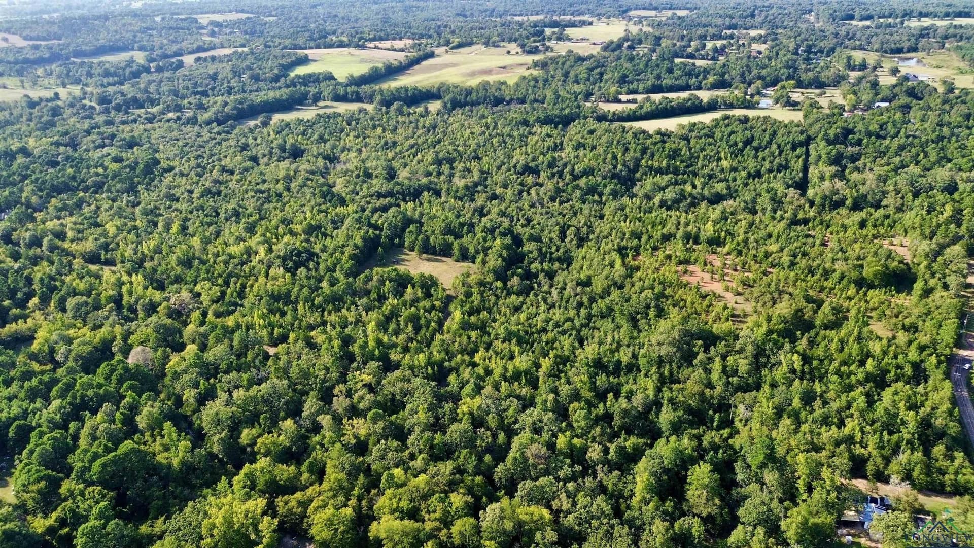 65.3 acres in Upshur County - photo 8