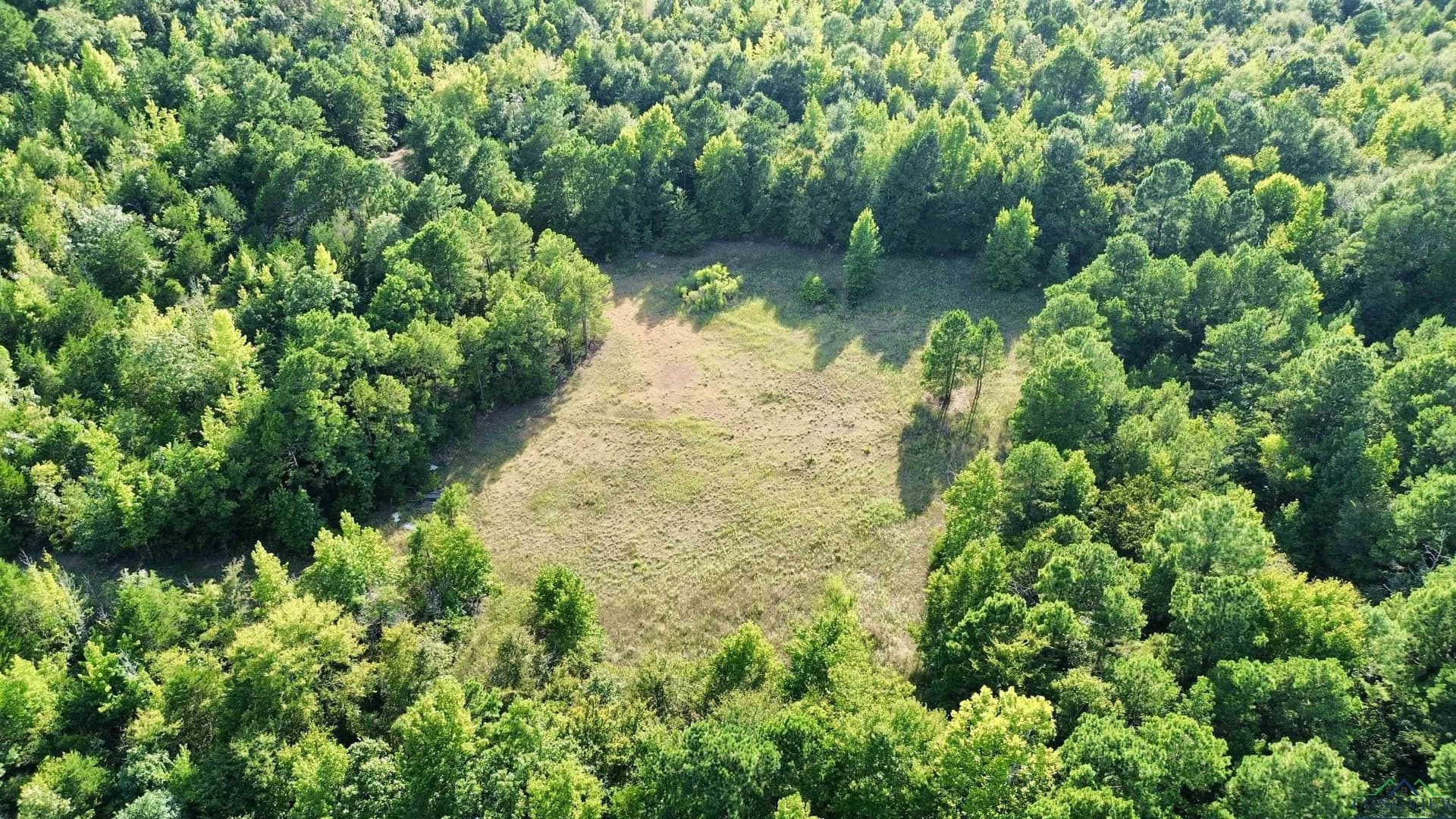 65.3 acres in Upshur County - photo 5