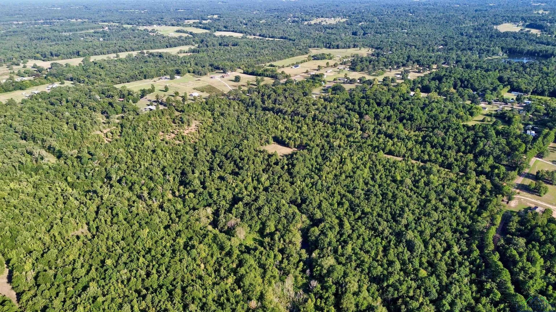65.3 acres in Upshur County - photo 16