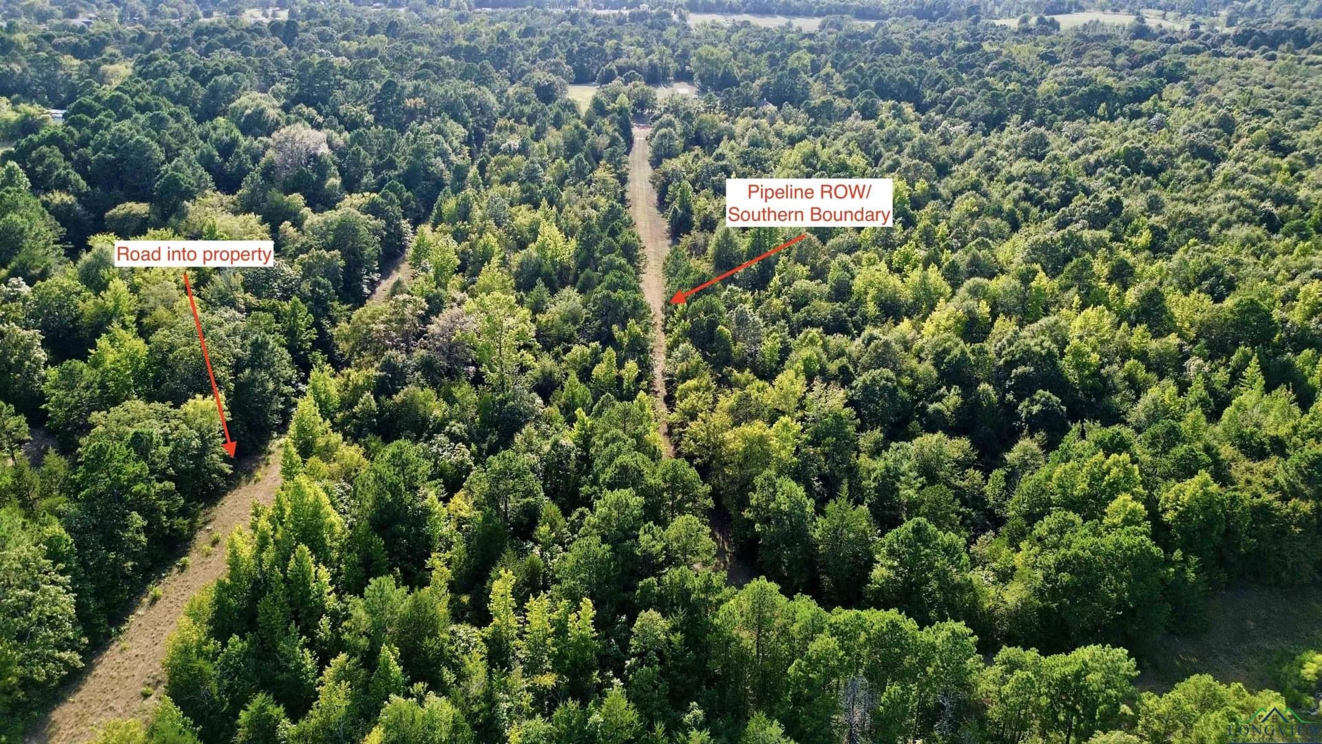 65.3 acres in Upshur County - photo 6