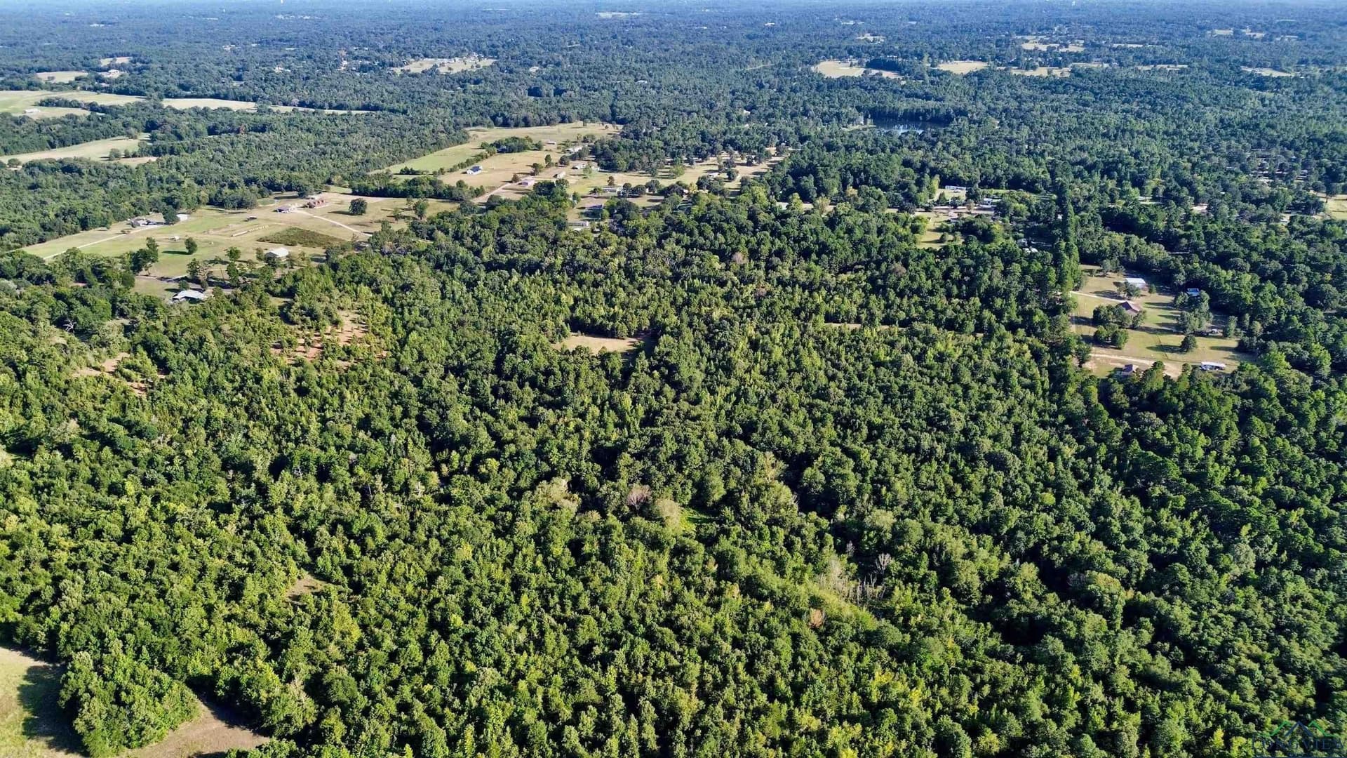 65.3 acres in Upshur County - photo 17