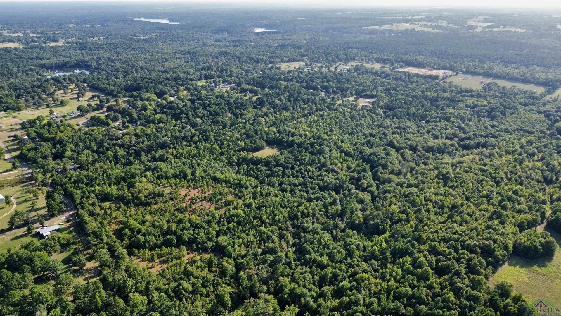 65.3 acres in Upshur County - photo 21