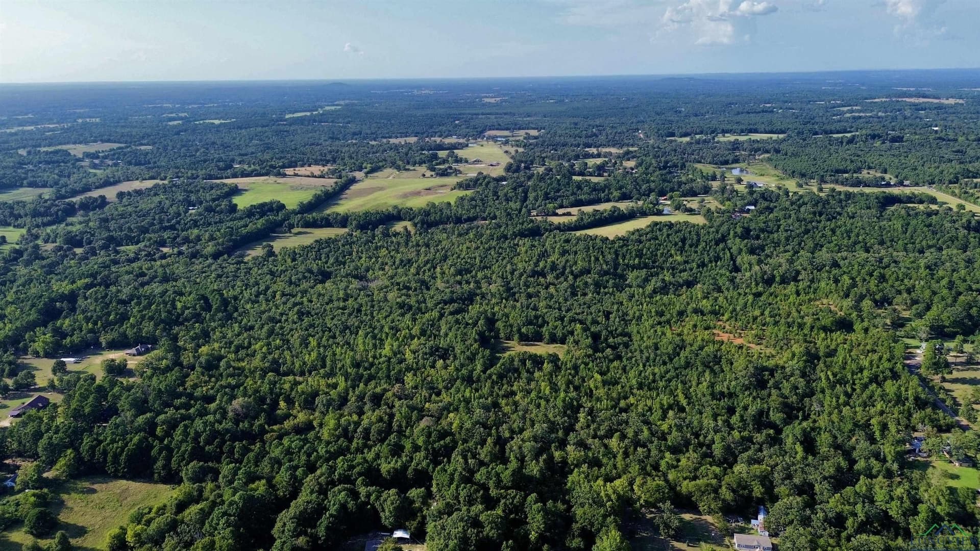 65.3 acres in Upshur County - photo 9