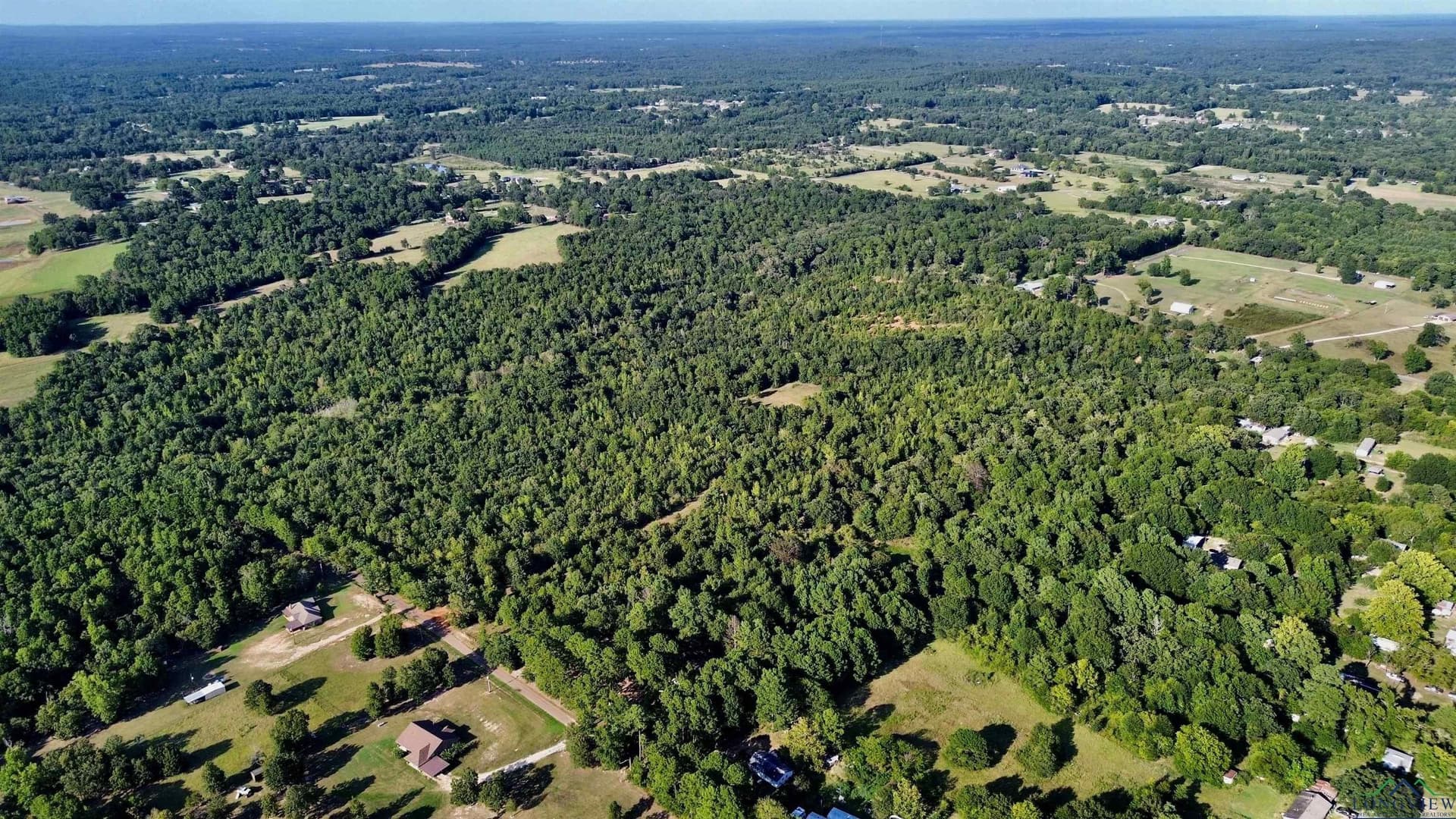 65.3 acres in Upshur County - photo 12