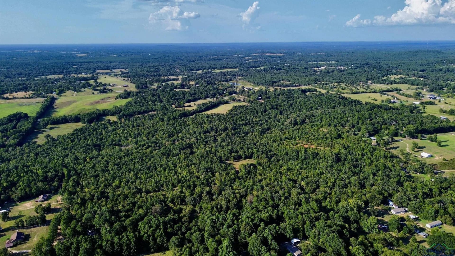 65.3 acres in Upshur County - photo 11