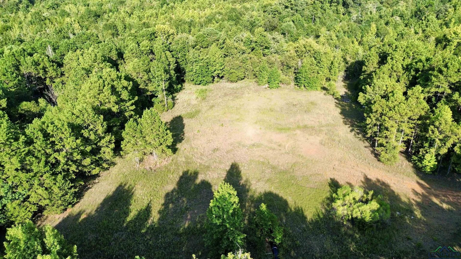 65.3 acres in Upshur County - photo 4