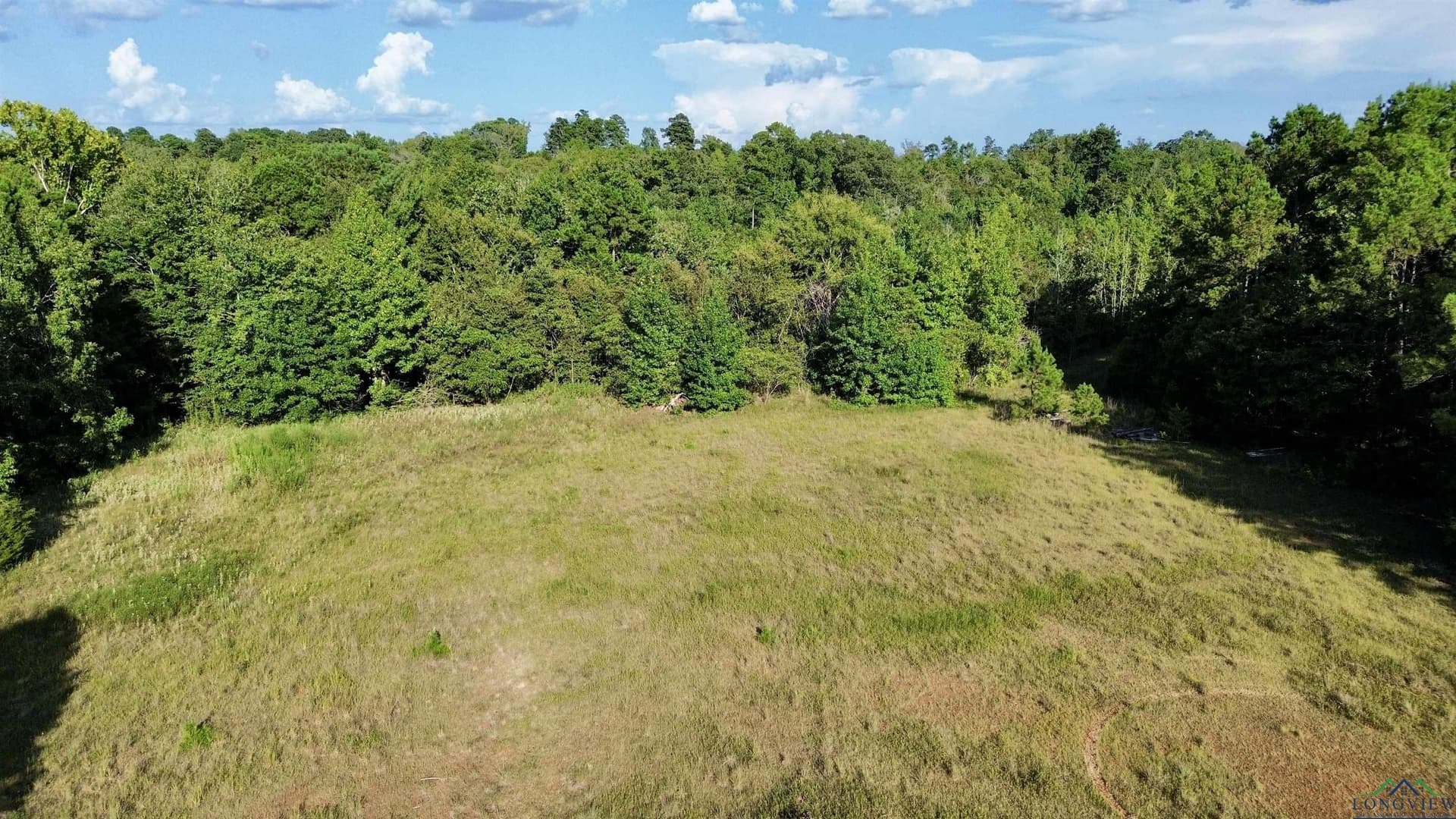65.3 acres in Upshur County - photo 3