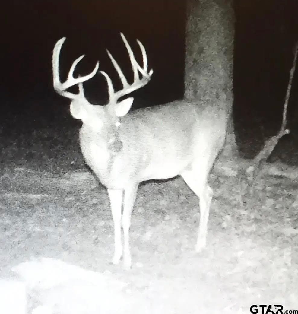 27.09 acres in Cass County - photo 45