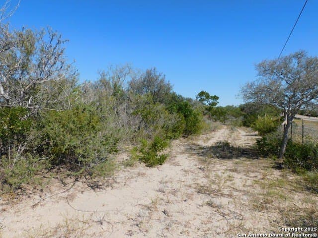 25 acres in Live Oak County - photo 3