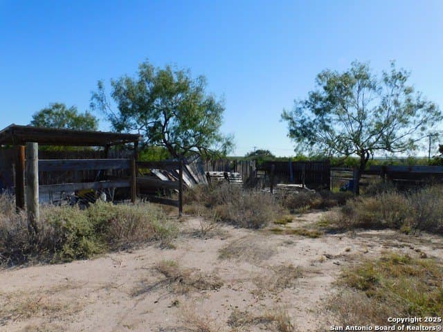 25 acres in Live Oak County - photo 19
