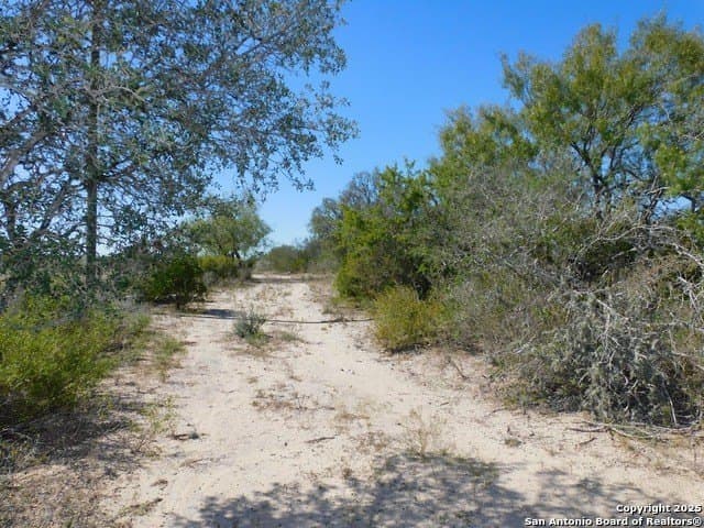 25 acres in Live Oak County - photo 6