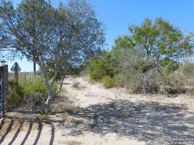 25 acres in Live Oak County - photo 4