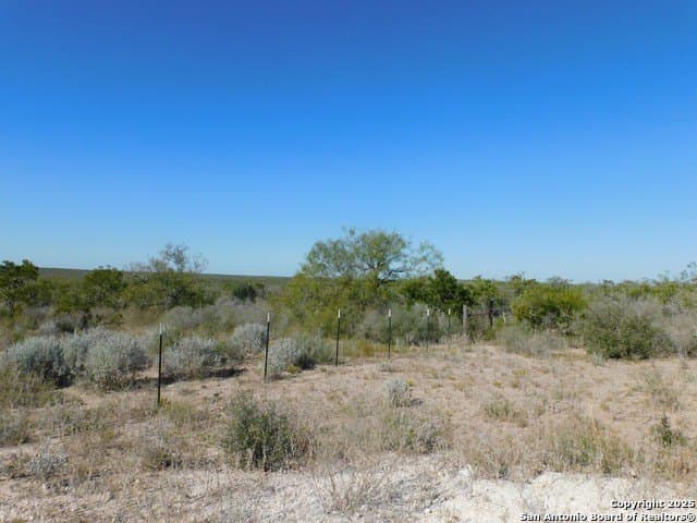 25 acres in Live Oak County - photo 10
