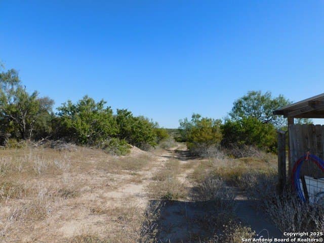 25 acres in Live Oak County - photo 8