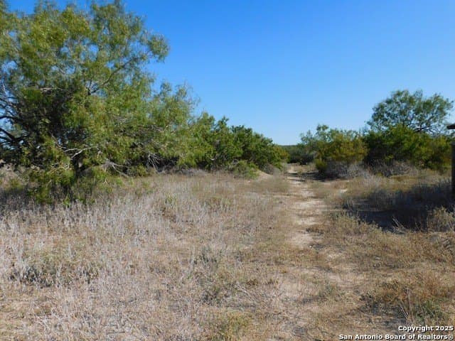 25 acres in Live Oak County - photo 21