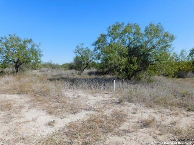 25 acres in Live Oak County - photo 16