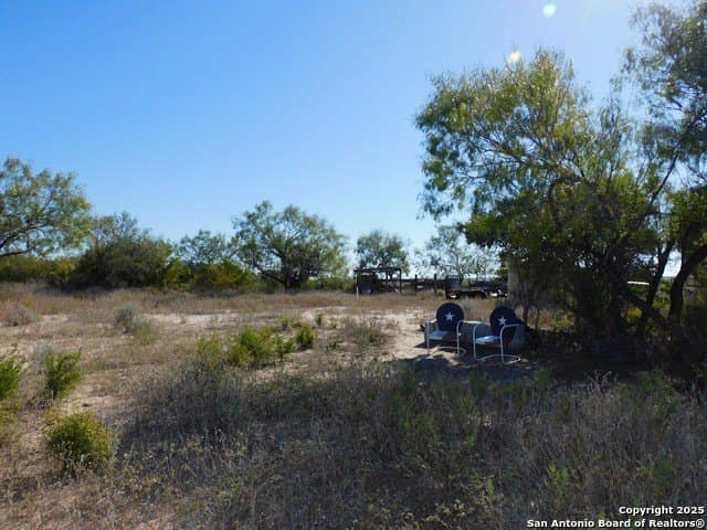 25 acres in Live Oak County - photo 9