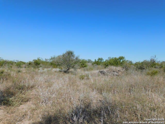 25 acres in Live Oak County - photo 11